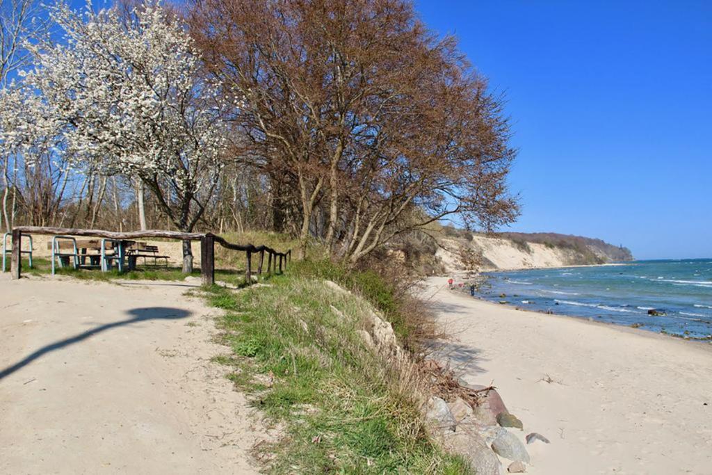 Haus Seestern mit Strandkorb inkl room 5